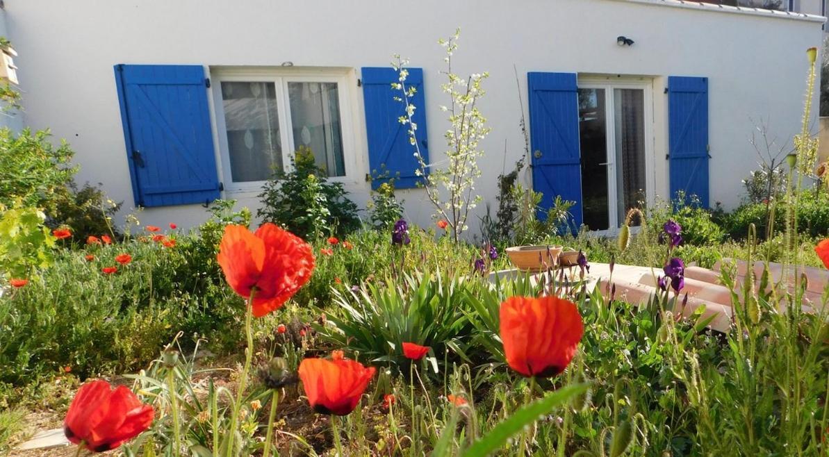 Maisonnette De Jardin Marseille Kültér fotó