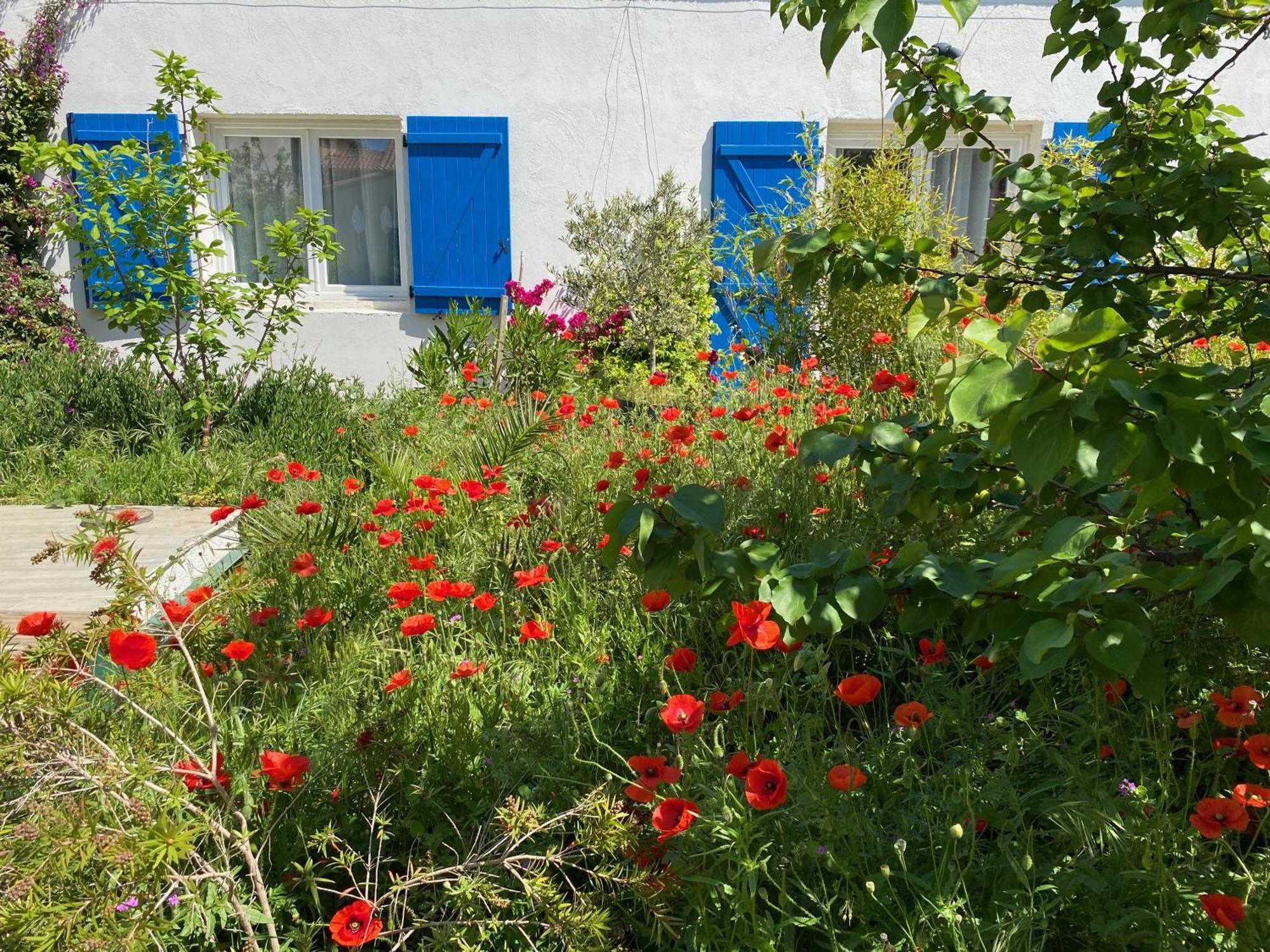 Maisonnette De Jardin Marseille Kültér fotó